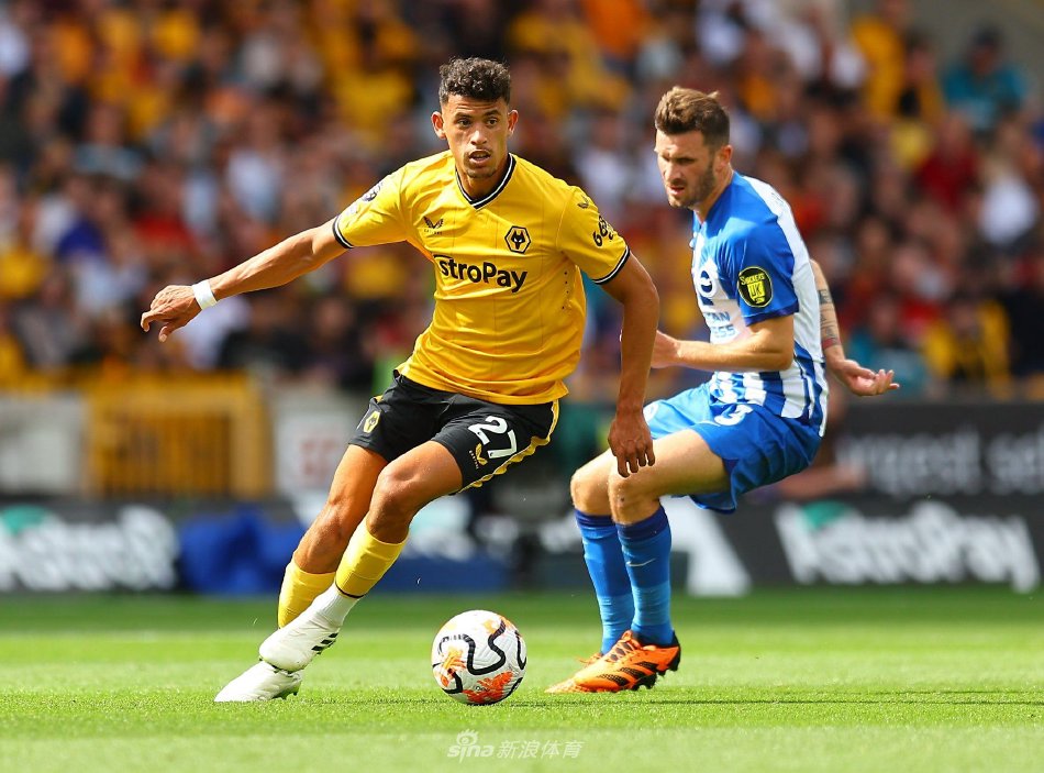 本次处罚显 本次处罚显