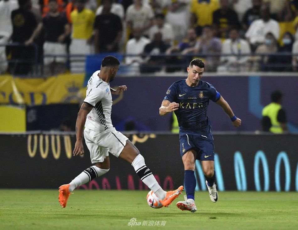 季展露锋芒 季展露锋芒